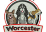 do embroidery digitizing logo into emb dst pes files digitize in 3hr